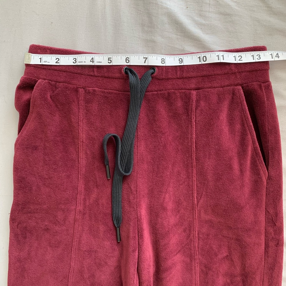 Year of Ours Revolve Velour Jogger in Burgundy - Picture 5 of 7